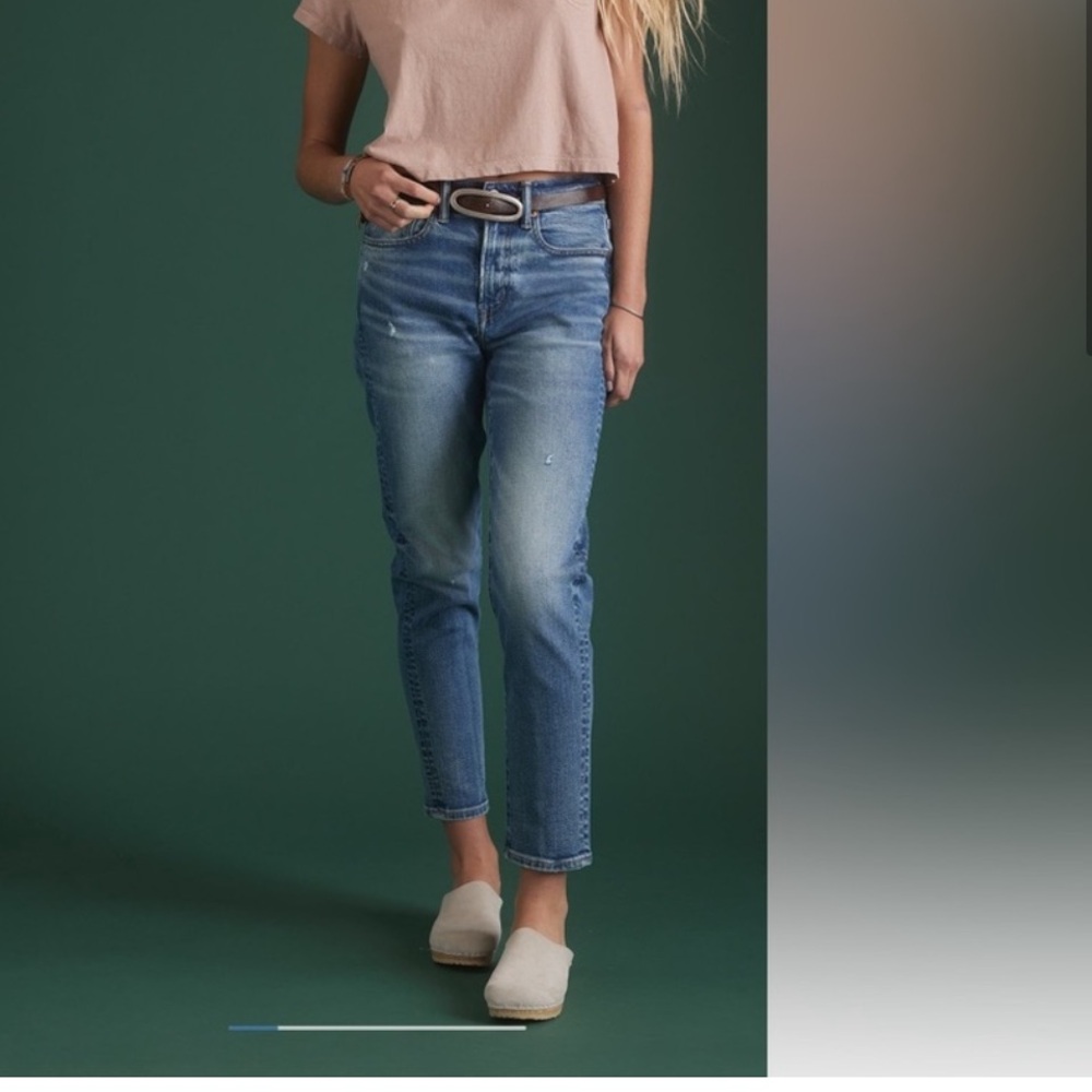 American Eagle Mom Jean AE77 Premium